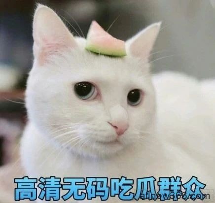 奉献富婆阔太上位？套牢女金猪被砸钱捧出道的当红小生！