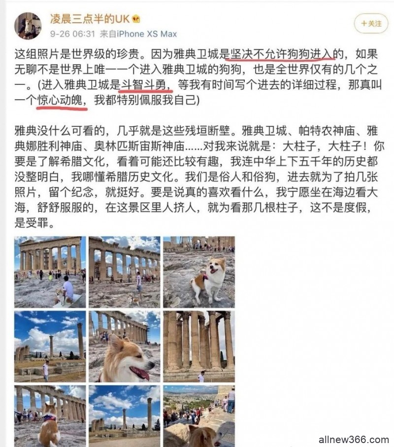 密子君支持防弹？​​网红狗主人素质低？情侣博主尺度大​？一只白男友骂粉丝？花椰菜大王被告？