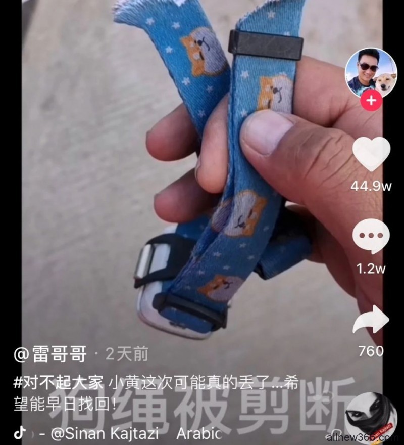 网红狗小黄被偷？原图爹开金身？周扬青撞脸罗志祥？