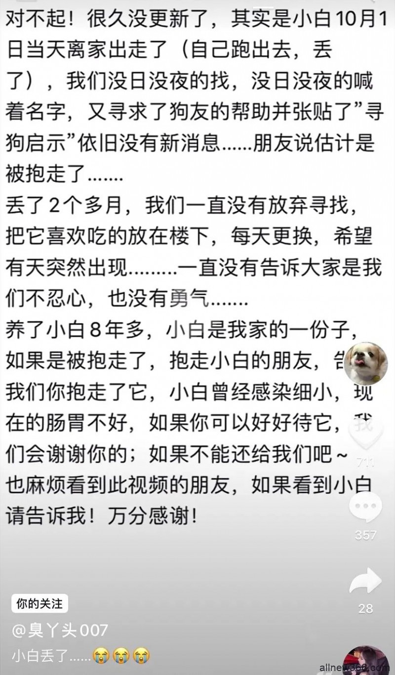 胡宾果内涵大奕凡哥？表情包小狗丢失？花珊珊否认整容？小丽开课讲授“丽学”？财经up主集体失业？