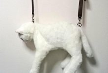 《超逼真貓咪包》欸欸你怎麼背著一隻貓咪出門啊 Σ(゚Д゚)-蜗牛扑克官方-GG扑克