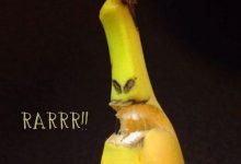 《香蕉剝皮藝術》每種掰開都含有一種美-蜗牛扑克官方-GG扑克