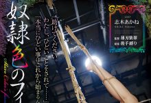 志木あかね(志木茜，Shiki-Akane)作品RBK-035介绍及封面预览【EV扑克官网】-蜗牛扑克官方-GG扑克