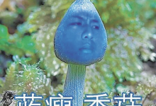 花錢玩夾娃娃機卻夾到藍瘦香菇～真是讓人哭笑不得（哪招啊-蜗牛扑克官方-GG扑克