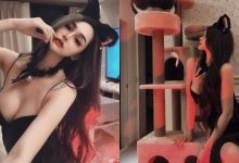 「巨乳貓貓」也想玩貓爬架！「窈窕正妹」Misa 蜜莎化身性感小貓咪，火辣到不行！-蜗牛扑克官方-GG扑克
