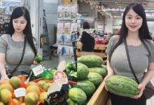 比西瓜還大！巨乳正妹逛超市　貼身上衣擋不住進擊乳量-蜗牛扑克官方-GG扑克