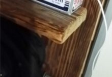 兒子偷用手機的偽裝術！其實老爸早就知情啦~(＞﹏＜)-蜗牛扑克官方-GG扑克