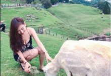 「清境低胸妹」露出乳能量！低頭餵羊畫面讓人療癒，沒想到還是一位空姐…-蜗牛扑克官方-GG扑克