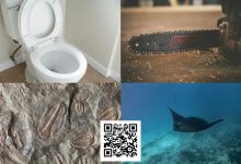 【EV扑克】扑克界谁的绰号最炸裂：电锯、魔鬼鱼、石化人、马桶？-蜗牛扑克官方-GG扑克