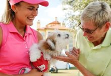 大发体育-米歇尔给巡演生活带来的困扰的建议是：养条狗，大发助力你的致富之路！-蜗牛扑克官方-GG扑克