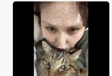 爱猫过世了⋯东北美人的她也不做了!-蜗牛扑克官方-GG扑克