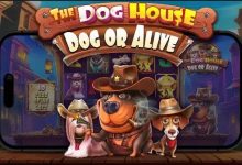 汪汪之家·狗狗神气 —— 大发娱乐全新萌宠主题老虎机深度介绍-蜗牛扑克官方-GG扑克