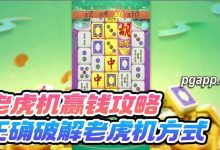 大发老虎游戏(老虎机)的回报率是什么:尽享高回报的游戏体验-蜗牛扑克官方-GG扑克