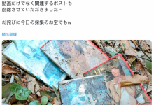 作品被丢到山里⋯架乃ゆら(架乃由罗)这么看-蜗牛扑克官方-GG扑克