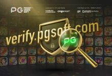 PG电子为玩家提供更多定制化选项,提升游戏体验-蜗牛扑克官方-GG扑克