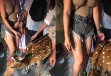 豪乳妹街頭遛鹿爆紅！「渾圓雙峰照」引發網友肉搜　真實身分終於曝光-蜗牛扑克官方-GG扑克