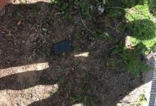 失主手機桌面太狂!拾獲者爲「保護」家母狠心棄之不顧-蜗牛扑克官方-GG扑克