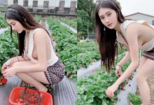 穿這樣採草莓可以?性感小妖精「Queenta許伊兒」沒穿內衣就出門-蜗牛扑克官方-GG扑克